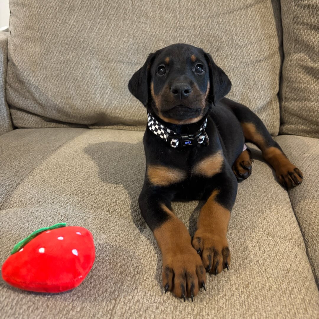 Huxley