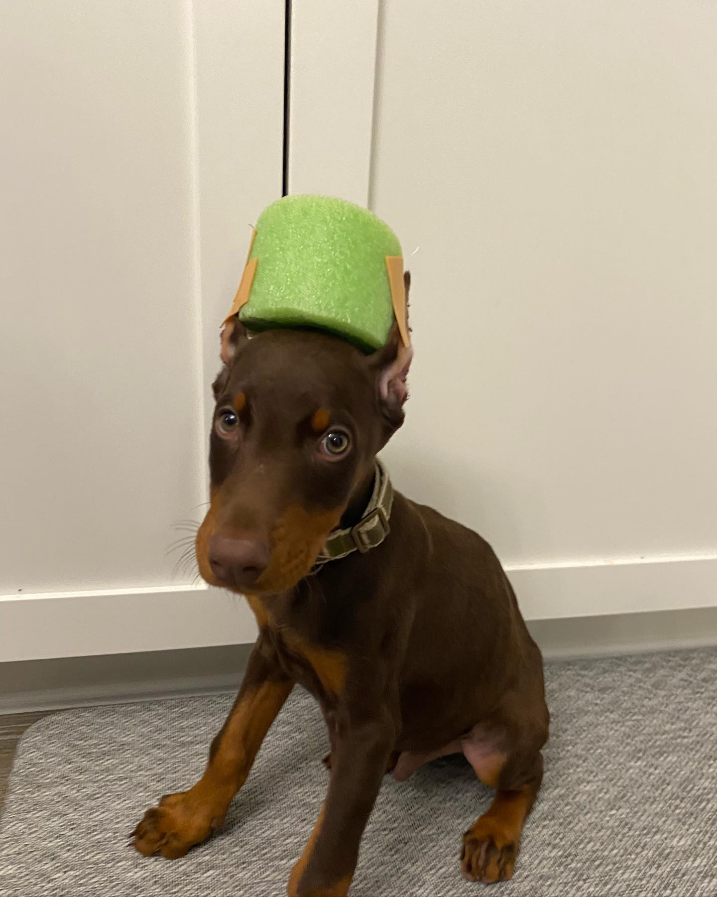 Oden
